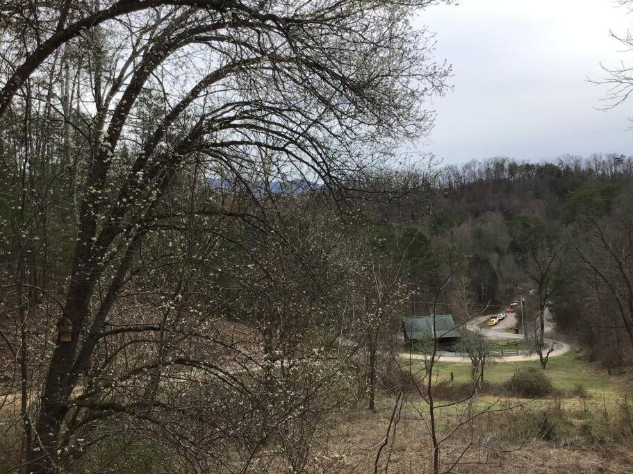 Dollywood-Brand New Dancing Bear 4 Villa Pigeon Forge Exteriör bild